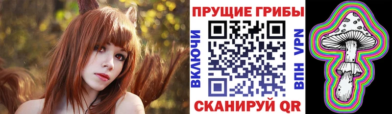 mega ONION  Серафимович  Галлюциногенные грибы Cubensis  сколько стоит 